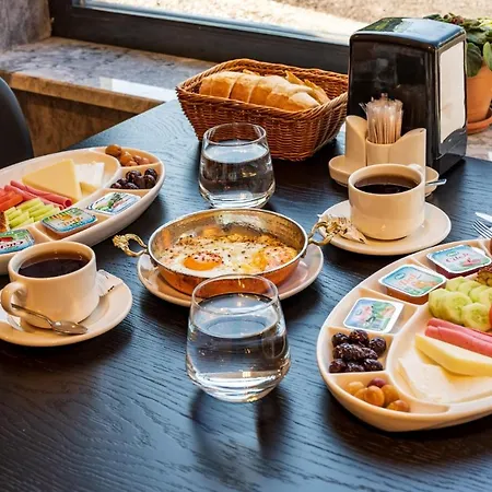 Goeruekle Alpas Yasam Bursa