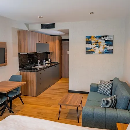 Goeruekle Alpas Yasam Hotel Bursa