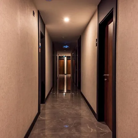 Goeruekle Alpas Yasam Bursa