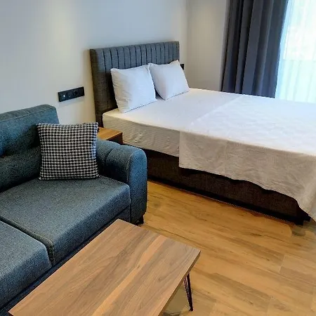 Goeruekle Alpas Yasam Hotel Bursa